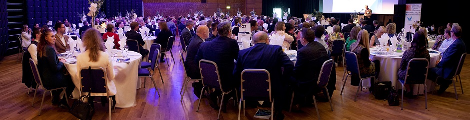 Chamber Business Awards 2022 page banner image